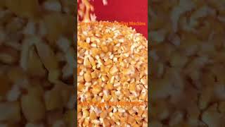 LargeScale Corn Kernel Peeling Machine  HighEfficiency Corn Processing grainprocessing corn [upl. by Collen]