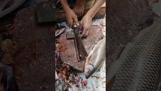 Fastest Fish Skill Peeling and Cutting  Fish Cutting Skills  Seafood 🍣 [upl. by Samp]