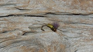 Tying the Blue Winged Olive Emerger [upl. by Anitnerolf]