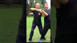 Master the Art of SelfDefense Learn Chin Na Techniques for Escaping Hand Holds [upl. by Sukcirdor508]