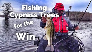 The Bass Fishing Pattern that Won the KBF National Championship on Caddo Lake [upl. by Eelirem]