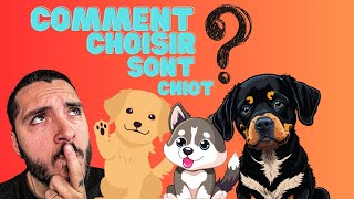 Conseil comment choisir le bon chiot [upl. by Herrington583]