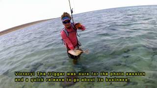 The EDGE 8 wt fly rod review  Triggerfish Sunday [upl. by Kalfas]