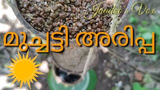 EVS STD 3 Muchatti Arippa Experiment Jaadoos Vox [upl. by Naujet590]