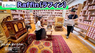 【世界一周】🇩🇪「Raffin」ドイツの２大手回しオルガンメーカーに行って来ました！記念にそこで一曲♪「the entartainer」 [upl. by Ledda]