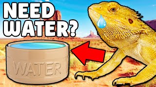 Do Bearded Dragons Need Water Bowls [upl. by Niotna]