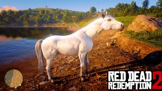 White Arabian Horse Location amp Taming Guide RDR2 [upl. by Anastatius]