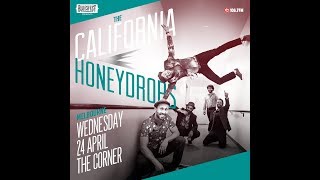 The California Honeydrops  Melbourne Sideshow 2019 [upl. by Naot]