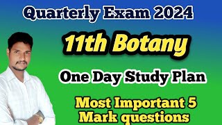 11th Botany Quarterly One Day Study Plan Most Important 5 Mark questions [upl. by Melonie946]