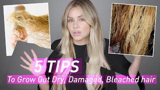 5 Tips to Grow Out Dry Damaged amp Bleached Hair [upl. by Drehcir872]