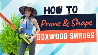 Ultimate Guide How to Trim and Shape Boxwood Shrubs Like a Pro 🌿✂️ [upl. by Gombach]