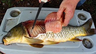 Catch and Cook Carp  How to cook carp  carp fishing tips amp carp recipe [upl. by Nylirej]