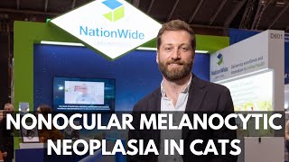 Nonocular melanocytic neoplasia in cats [upl. by Skees204]