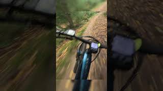 Danbury common bluebell run on the ebike in the mud [upl. by Yvad]