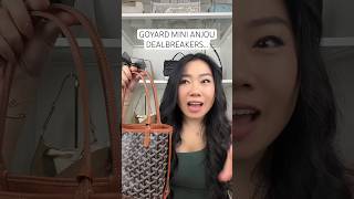 GOYARD MINI ANJOU CONS NO ONE TALKS ABOUT [upl. by Ecirual898]