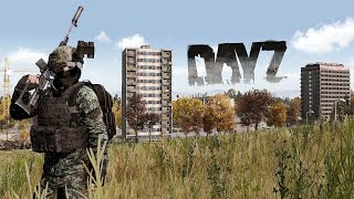 When a 16000 Hour DayZ Player Goes BEAST Mode [upl. by Oilegor]