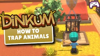 How To Trap Animals  Dinkum [upl. by Atiken]