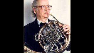 Leopold Mozart Horn Concerto amazing [upl. by Trainer]