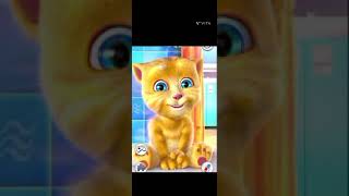 cat bhajanCat billi cat dance cat video cat dance cat songcartooncat cartoonbhajan sunaiye [upl. by Ainitsirc]