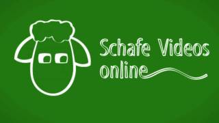 Rhönkanal Das grüne Schaf ist online [upl. by Vick]