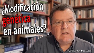 ¿Modificación genética en animales  Antonio Diéguez [upl. by Shaff]