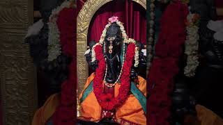 avani vanthathum punniya ஆவணி வந்ததும் vinayagar godsong shortswhatsappstatuslorddevotional [upl. by Kcirdes]