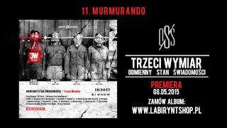 11 Trzeci Wymiar  Murmurando prod Dj Creon cuty Dj Creon gitara Maciej Kozak [upl. by Arleyne]