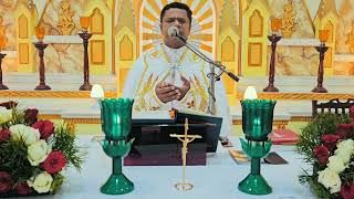 Sunday Holy Mass November 19 I 530 AM I Malayalam I Syro Malabar I Fr Bineesh Augustine [upl. by Llehcar677]