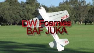 3D Fun Flying  DW Foamies 48quot BAF JUKA [upl. by Neyu597]