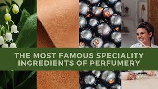 The most famous compositions and speciality ingredients of perfumery [upl. by Codding]