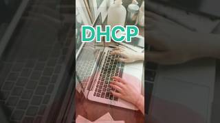 DHCP  dhcp server shorts shortvideo viral [upl. by Aralc417]