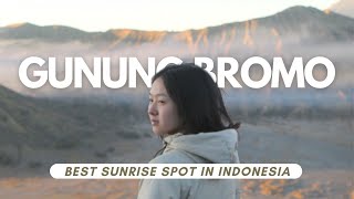 Gunung Bromo Info Lengkap Tour Kendaraan Waktu [upl. by Nebuer324]