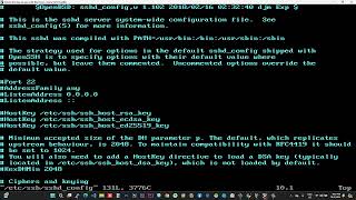 Como cambiar puerto SSH en Linux [upl. by Okimuy]