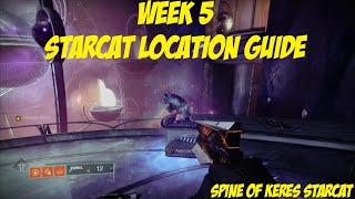 Starcat Collectible Location Guide  Week 5 How To Destiny 2 Season of the Wish [upl. by Irianat]