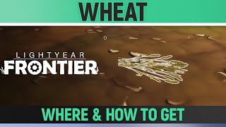 Lightyear Frontier  Wheat  Where amp How To Get [upl. by Cristiona]