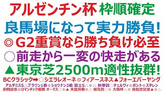 アルゼンチン共和国杯2024枠順確定 道悪適性が勝敗を決める？！◎G2なら勝ち負け。道悪もOK。○道悪2戦2勝の一発逆転候補。▲東京は馬場不問で走る馬。 [upl. by Ddat]