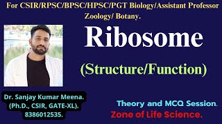 RIBOSOME StructureFunction CSIRGATEBSCMSC RPSCMPPSCHPSCBPSC PGT BIOLOGY ZOOLOGYBOTANY [upl. by Ris945]