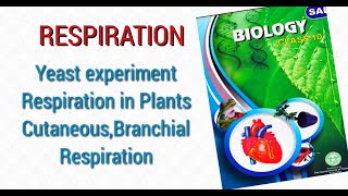 Anaerobic respiration  Yeast Experiment Co2 and Heat is liberated in anaerobic respiration [upl. by Amend]