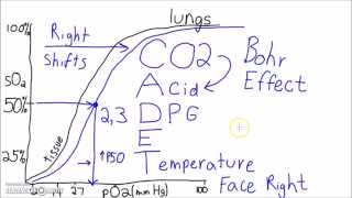 Physiology  The Oxygen–Hemoglobin Dissociation Curve [upl. by Angeline]