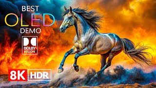 OLED Demo Dolby Vision HDR 8K Video ULTRA HD 240 fps [upl. by Ainotahs]