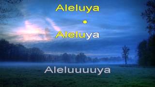 Aleluya  hallelujah  Pista Cristiana Español  KARAOKE [upl. by Aihtibat]