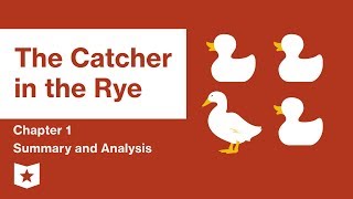 The Catcher in the Rye  Summary amp Analysis  JD Salinger [upl. by Nitfa]