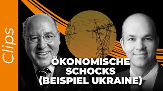 Marcel Fratzscher erklärt ökonomische Schocks anhand der Ukraine [upl. by Aihsetan]