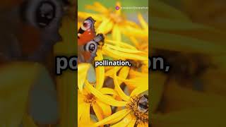 Amazing Bird Migration and Pollinatorsshortsviralshort viralfactsfunfacts facts factshorts [upl. by Talich226]