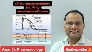 Class I Antiarrhythmics Use dependent blockadeIa Ib Ic [upl. by Negiam573]