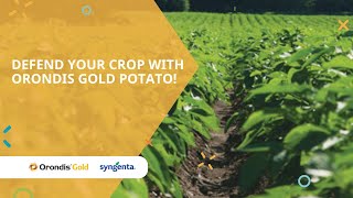 Defend your crop with Orondis Gold Potato [upl. by Riatsala]