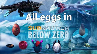 All creature eggs in Subnautica Below zero  hatching [upl. by Kinelski913]