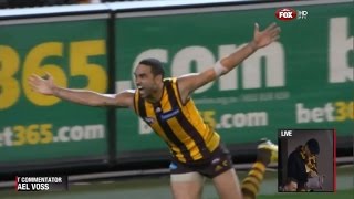 2013 Preliminary Final  Hawthorn Vs Geelong 3AW commentary [upl. by Channing]