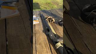 Huglu 12 gauge shotgun ASMR asmr shotgun [upl. by Yellat]