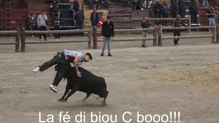 AiguesMortes ▶course au plan  manade Chaballier◀ 07102024 [upl. by Fania]